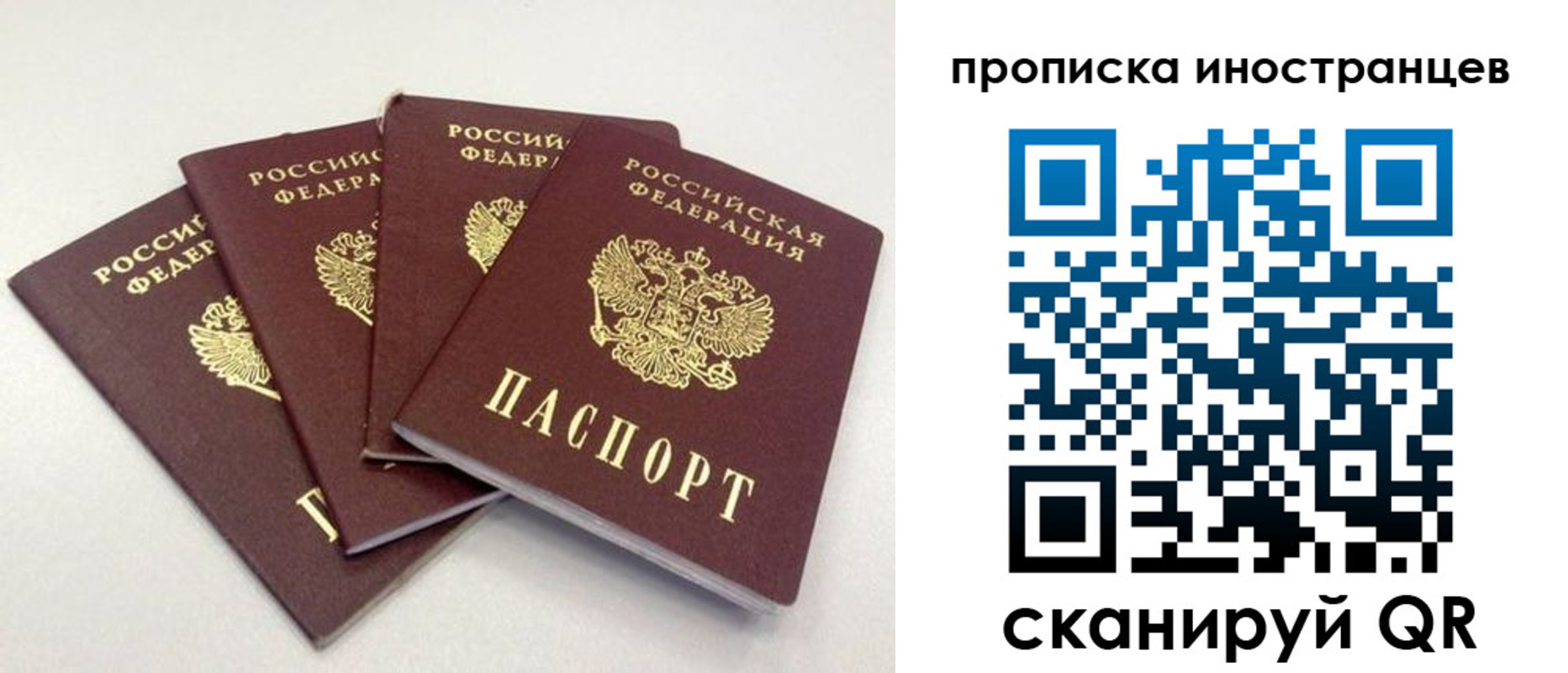 прописка в квартире в Армавире